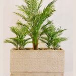 حوض | CB-3134