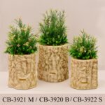 شكل جمالي | CB-3922-S