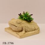 شكل جمالي | FR-3796